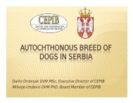 AUTOCHTHONOUS BREED OF DOGS IN SERBIA