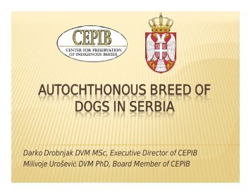 AUTOCHTHONOUS BREED OF DOGS IN SERBIA