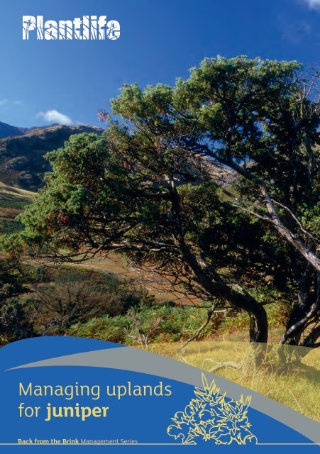 Managing uplands - Plantlife