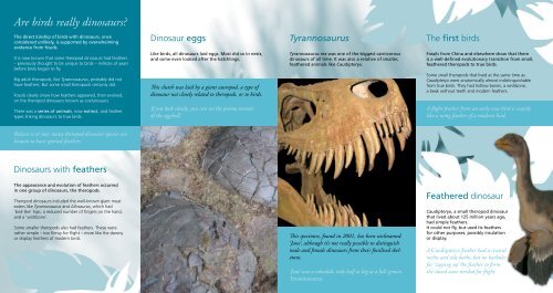 Flying Dinosaurs Leaflet - University of Leicester