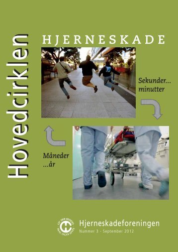 DET SOCIALE HJÃRNE - Hjerneskadeforeningen