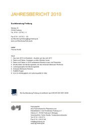 Jahresbericht 2010 (PDF) - Suchtberatung Freiburg