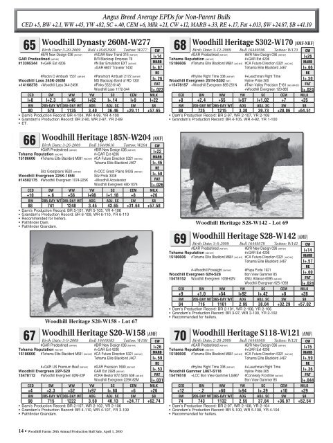 BULL SALE - Angus Journal