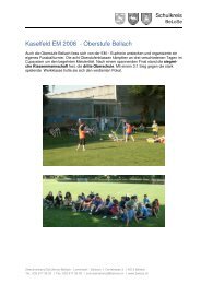 0708 Kaselfeld EM 2008 - Oberstufe Bellach.pdf - Schulkreis BeLoSe