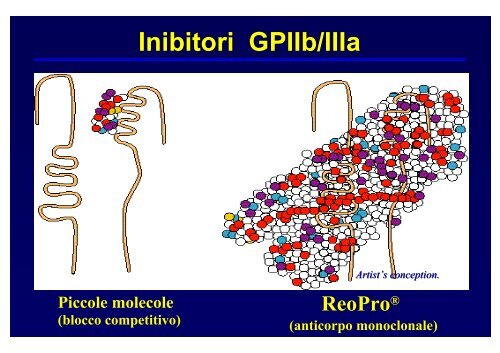 Gli inibitori del recettore IIb/IIIa - Cuorediverona.it