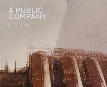 A Public Company 1980 - 1986 - Abigroup