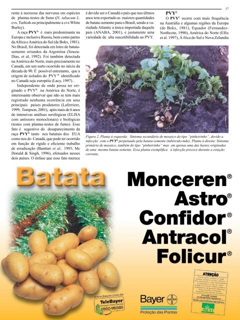 Arquivo PDF - AssociaÃ§Ã£o Brasileira da Batata (ABBA)