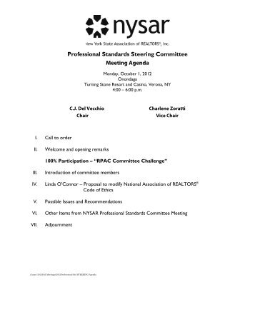 Professional Standards Steering Committee Meeting Agenda