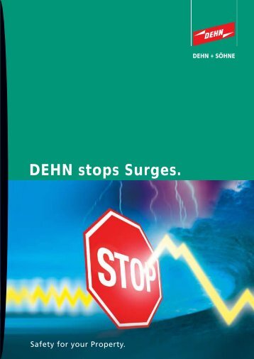 DEHN stops Surges.