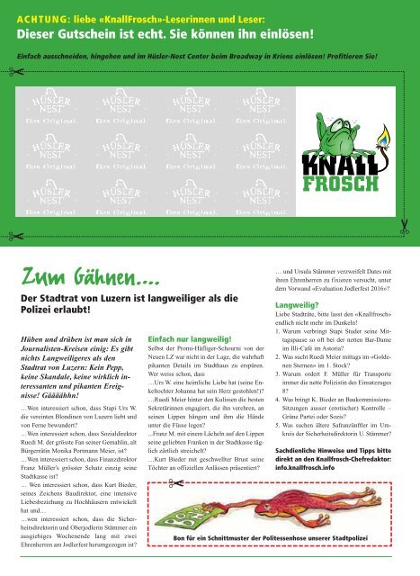 KnallFrosch 2009 - Das grosse Fasnachts-Programm für Stadt und Land