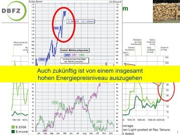 PrÃ¤sentation Kaltschmitt (pdf | 4670,90 KB) - H. Wilhelm Schaumann ...