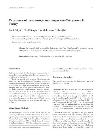 Full text - Mycologia Balcanica
