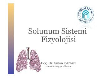 Solunum Sistemi Fizyolojisi