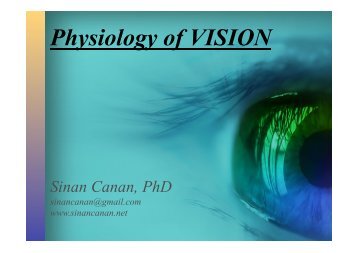 Physiology of VISION