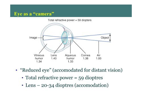 Physiology of VISION