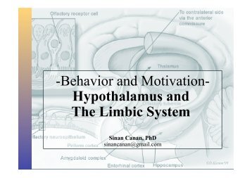 Hypothalamus and Limbic System