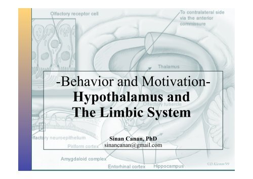 Hypothalamus and Limbic System