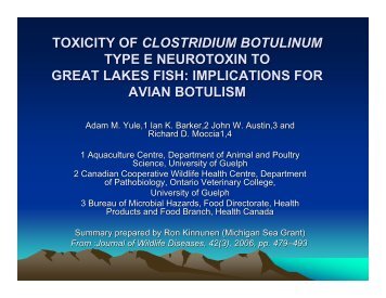 toxicity of clostridium botulinum type e neurotoxin to - Michigan Sea ...