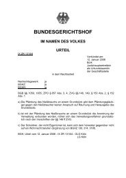 BGHZ 166, 1 zur NieÃƒÂŸbrauchspfÃƒÂ¤ndung