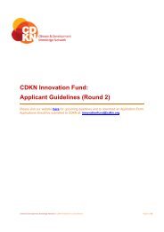 CDKN Innovation Fund: Applicant Guidelines (Round 2)
