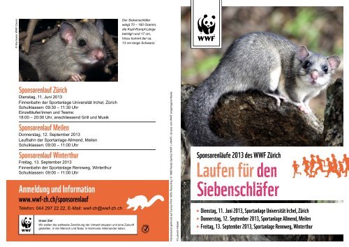 Wwf Sponsorenlauf 2013 Zks