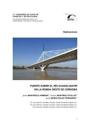 puente sobre el rÃ­o guadalquivir en la ronda oeste de cÃ³rdoba - ACHE