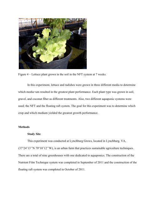 Plant Growth in Aquaponic System through Comparison of Different ...