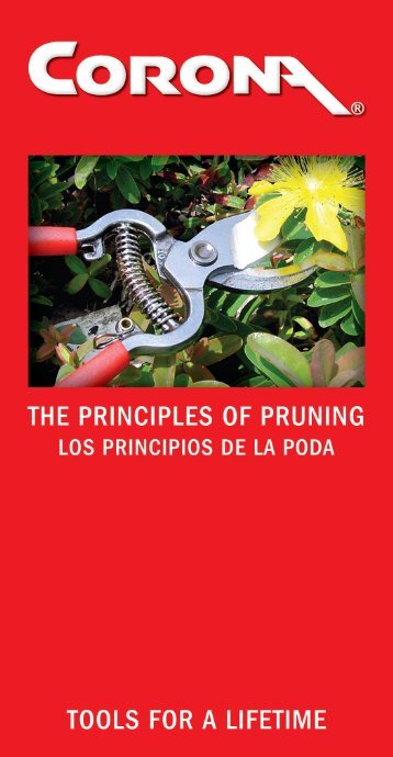 Pruning Principles 2009 - Corona Tools