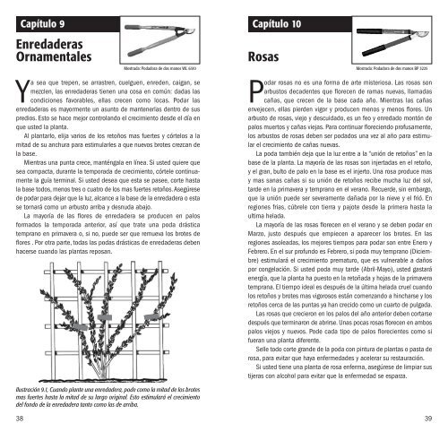 Pruning Principles 2009 - Corona Tools