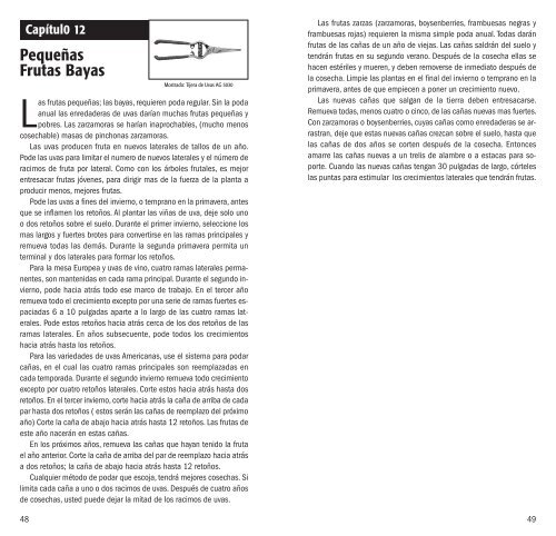 Pruning Principles 2009 - Corona Tools