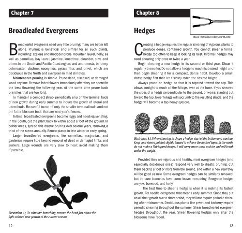 Pruning Principles 2009 - Corona Tools