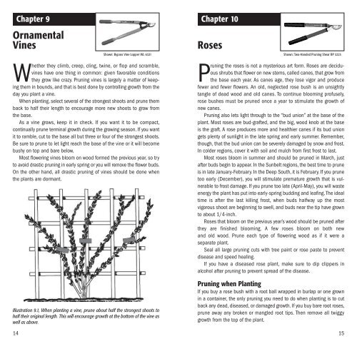 Pruning Principles 2009 - Corona Tools