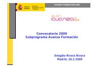 avanza formacion 2009 - Plan Avanza