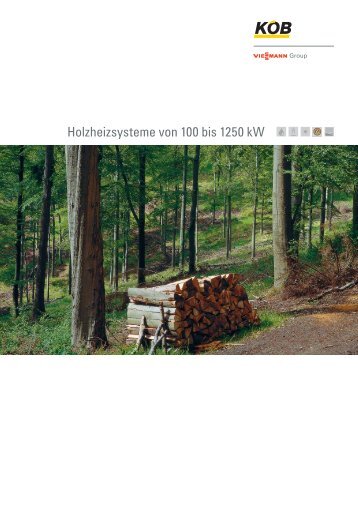 Holzheizsysteme von 100 bis 1250 kW - Viessmann