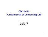 CSCI 1411 Fundamental of Computing Lab - Gammeter.com