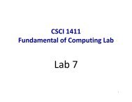 CSCI 1411 Fundamental of Computing Lab - Gammeter.com