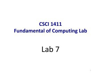 CSCI 1411 Fundamental of Computing Lab - Gammeter.com