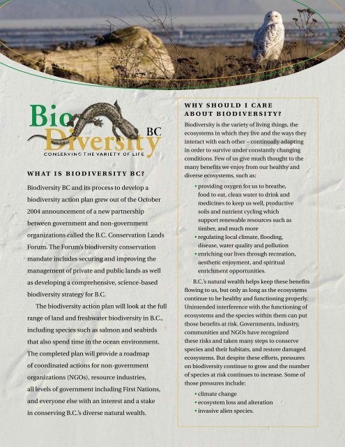 Biodiversity: Why Investors Should Care – CZHQM