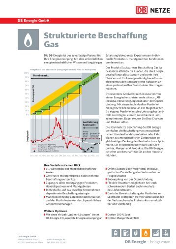 Strukturierte Beschaffung Gas - DB Energie