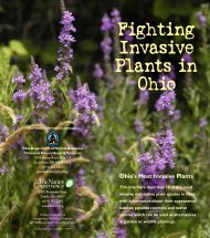 Fighting Invasive Plants in Ohio - Ohio Department of Natural ...