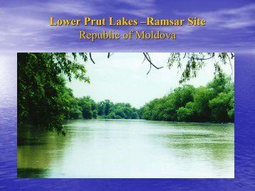 Lower Prut Nature Reserve, Moldova (A.Nebunu ... - DANUBEPARKS