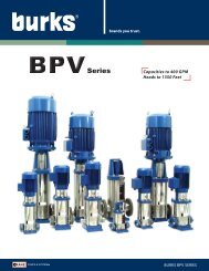 BPV Series - Crane Pumps & Systems