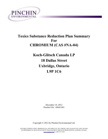 Chromium TSRP Summary 2011 - Koch-Glitsch