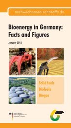 Bioenergy in Germany: Facts and Figures - BIO Deutschland