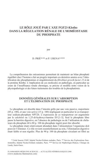 Le rôle joué par l'axe FGF23-Klotho dans la régulation rénale de l ...