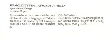 Julgolditt fra Tafjordtunnelen pdf - NAGS