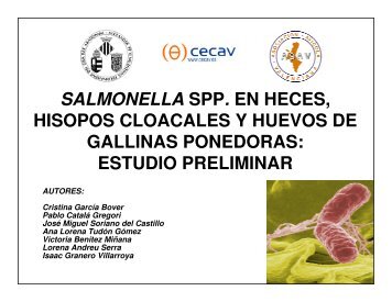 SALMONELLA SPP. EN HECES, HISOPOS CLOACALES Y ... - AECA