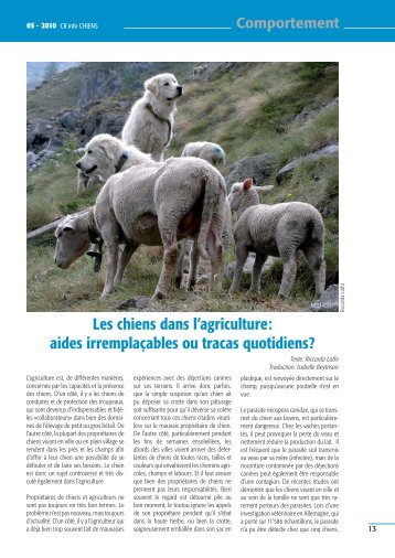 Les chiens dans l'agriculture: aides irremplaÃ§ables ou tracas ...