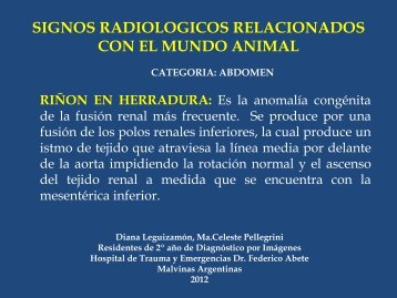 signos radiologicos relacionados con el mundo animal - Congreso ...