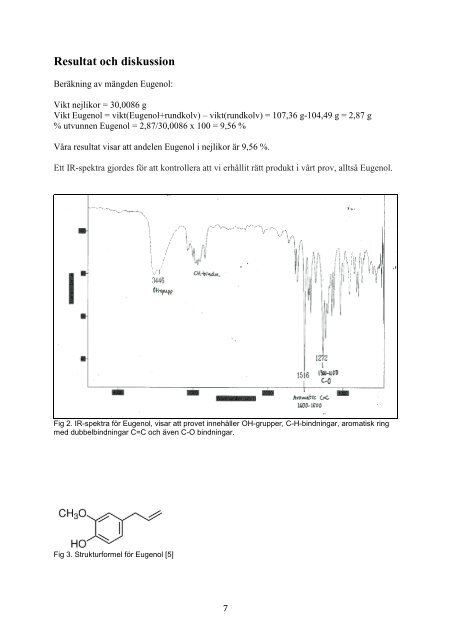 Enkel Labbrapport Mall